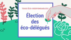 Être éco-délégué (élection)